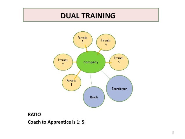 Local Approaches To Skills Mismatches