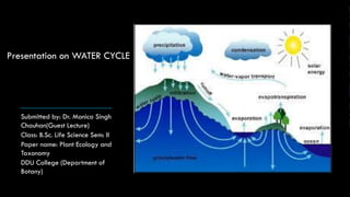 Submitted by: Dr. Monica Singh
Chauhan(Guest Lecture)
Class: B.Sc. Life Science Sem: II
Paper name: Plant Ecology and
Taxonomy
DDU College (Department of
Botany)
Presentation on WATER CYCLE
 