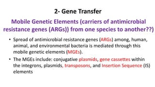 Mobile Genetic Elements (carriers of antimicrobial
resistance genes (ARGs)) from one species to another??)
• Spread of antimicrobial resistance genes (ARGs) among, human,
animal, and environmental bacteria is mediated through this
mobile genetic elements (MGEs).
• The MGEs include: conjugative plasmids, gene cassettes within
the integrons, plasmids, transposons, and Insertion Sequence (IS)
elements
2- Gene Transfer
 