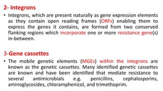 2- Integrons
• Integrons, which are present naturally as gene expression elements
as they contain open reading frames (ORFs) enabling them to
express the genes it contains, are formed from two conserved
flanking regions which incorporate one or more resistance gene(s)
in-between.
3-Gene cassettes
• The mobile genetic elements (MGEs) within the integrons are
known as the genetic cassettes. Many identified genetic cassettes
are known and have been identified that mediate resistance to
several antimicrobials e.g. penicillins, cephalosporins,
aminoglycosides, chloramphenicol, and trimethoprim.
 