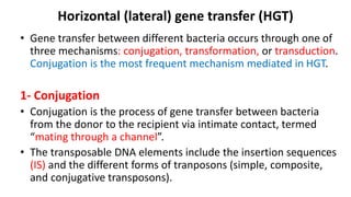 Horizontal (lateral) gene transfer (HGT)
• Gene transfer between different bacteria occurs through one of
three mechanisms: conjugation, transformation, or transduction.
Conjugation is the most frequent mechanism mediated in HGT.
1- Conjugation
• Conjugation is the process of gene transfer between bacteria
from the donor to the recipient via intimate contact, termed
“mating through a channel”.
• The transposable DNA elements include the insertion sequences
(IS) and the different forms of tranposons (simple, composite,
and conjugative transposons).
 