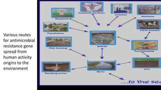 Various routes
for antimicrobial
resistance gene
spread from
human activity
origins to the
environment
 