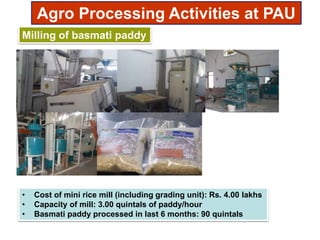 Milling of basmati paddy
• Cost of mini rice mill (including grading unit): Rs. 4.00 lakhs
• Capacity of mill: 3.00 quintals of paddy/hour
• Basmati paddy processed in last 6 months: 90 quintals
Agro Processing Activities at PAU
 