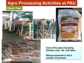 Agro Processing Activities at PAU
Wheat Flour
Cost of the plant (including
filtration unit) : Rs. 5.00 lakhs
Wheat processed in last 2
months: 25 quintals
 