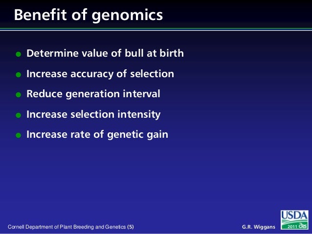 Genomic Selection in Dairy Cattle