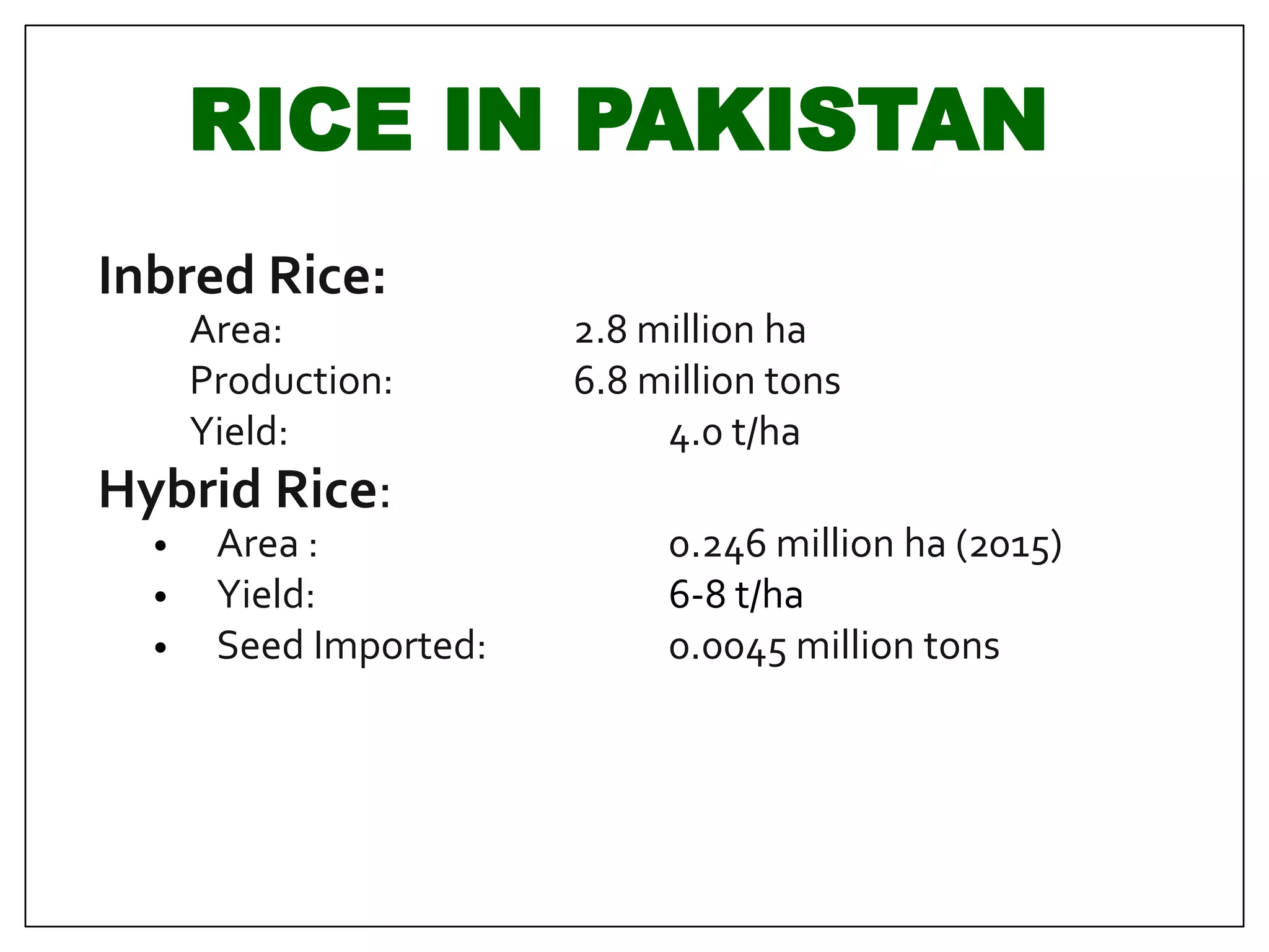 Pakistan Rice Production STATUS OF RICE RESEARCH AND HYBRID DEVELOPMENT IN PAKISTAN | PDF