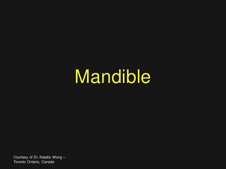 Simplant 16 Simplant 16