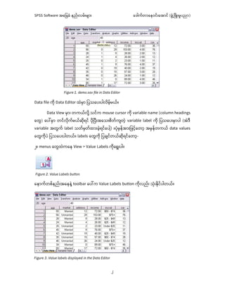 Comprehensive Guide to SPSS Software Basics and Data Analysis ...
