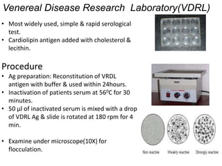 Venereal Disease Research Laboratory(VDRL)
• Most widely used, simple & rapid serological
test.
• Cardiolipin antigen added with cholesterol &
lecithin.
Procedure
• Ag preparation: Reconstitution of VRDL
antigen with buffer & used within 24hours.
• Inactivation of patients serum at 560C for 30
minutes.
• 50 µl of inactivated serum is mixed with a drop
of VDRL Ag & slide is rotated at 180 rpm for 4
min.
• Examine under microscope(10X) for
flocculation.
 