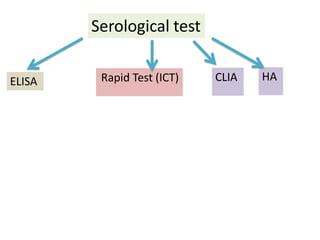 Serological test
ELISA Rapid Test (ICT) CLIA HA
 