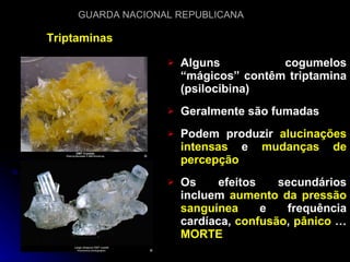 Triptaminas Alguns cogumelos “mágicos” contêm triptamina (psilocibina) Geralmente são fumadas Podem produzir  alucinações intensas  e  mudanças de percepção Os efeitos secundários incluem  aumento da pressão sanguínea  e frequência cardíaca,  confusão ,  pânico  …  MORTE 