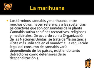  Los términos cannabis y marihuana, entre
muchos otros, hacen referencia a las sustancias
psicoactivas que son consumidas de la planta
Cannabis sativa con fines recreativos, religiosos
y medicinales. De acuerdo con la Organización
de las Naciones Unidas, se trata de “la sustancia
ilícita más utilizada en el mundo”.2 La regulación
legal del consumo de cannabis varía
dependiendo de los países, existiendo tanto
detractores como defensores de su
despenalización.3
 