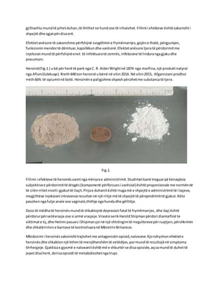 gjithashtumundtë pihetduhan,të thithetne hund ose të inhalohet. Fillimi i efekteve ështëzakonisht i
shpejtë dhe zgjatpërdisaorë.
Efektetanësore të zakonshme përfshijnë zvogëlimine frymëmarrjes,gojëne thatë,përgjumjen,
funksioninmendortë dëmtuar,kapsllëkundhe varësinë.Efektetanësore tjeratë përdorimitme
injeksionmundtë përfshijnëenet të infektuaratë zemrës,infeksione të lindurangagjakudhe
pneumoni.
Heroinë(Fig.1.) ubë përherë të parë nga C. R. AlderWrightnë 1874 nga morfina,një produktnatyral
nga Afioni(lulekuqe).Rreth448 ton heroinë ubënë në vitin2016. Në vitin2015, Afganistani prodhoi
rreth66% të opiumitnë botë.Heroinëne paligjshme shpeshpërzihetme substancatë tjera.
Fig.1.
Fillimi i efekteve të heroinësvaretngamënyrae administrimit.Studimetkanë treguarqë kënaqësia
subjektivee përdorimittë drogës(komponenti përforcuesi varësisë)është proporcionale me normënnë
të cilënrritetniveli i gjakuttë ilaçit.Pirjae duhanitështë rrugamë e shpejtë e administrimittë ilaçeve,
megjithëse injeksioni intravenozrezultonnë një rritje më të shpejtë të përqendrimittë gjakut.Këto
pasohenngafutje anale ose vaginale,thithje ngahundadhe gëlltitje.
Doza të mëdhatë heroinësmundtë shkaktojnë depresionfatal të frymëmarrjes,dhe ilaçi është
përdorurpërvetëvrasje ose si armë vrasjeje.Vrasësi serikHaroldShipmanpërdori diamorfinë te
viktimate tij,dhe Hetimi pasuesi Shipmançoi në një shtrëngimtë rregullorevepërruajtjen,përshkrimin
dhe shkatërrimin e barnave të kontrolluaranë MbretrinBritaneze.
Mbidozimi i heroinëszakonishttrajtohetme antagonistinopioid,naloxone.Kjondryshonefektete
heroinësdhe shkaktonnjë kthimtë menjëhershëmtë vetëdijes,pormundtë rezultojënë simptoma
tërheqjeje.Gjatësiae gjysmë e naloxonitështë më e shkurtërse disaopioide,aqsamundtë duhettë
jepetdisaherë,derisaopioidi të metabolizohetngatrupi.
 