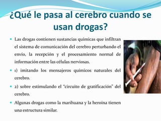 ¿Qué le pasa al cerebro cuando se
usan drogas?
 Las drogas contienen sustancias químicas que infiltran
el sistema de comunicación del cerebro perturbando el
envío, la recepción y el procesamiento normal de
información entre las células nerviosas.
 1) imitando los mensajeros químicos naturales del
cerebro.
 2) sobre estimulando el “circuito de gratificación” del
cerebro.
 Algunas drogas como la marihuana y la heroína tienen
una estructura similar.
 