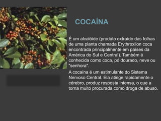 COCAÍNA
É um alcalóide (produto extraído das folhas
de uma planta chamada Erythroxilon coca
encontrada principalmente em países da
América do Sul e Central). Também é
conhecida como coca, pó dourado, neve ou
"senhora".
A cocaína é um estimulante do Sistema
Nervoso Central. Ela atinge rapidamente o
cérebro, produz resposta intensa, o que a
torna muito procurada como droga de abuso.
 