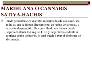 MARIHUANA O CANNABIS
SATIVA-HACHIS
 Puede presentarse en distintas modalidades de consumo, sea
en hojas que se fuman directamente, en resina del arbusto, o
en aceite desprendido. Un cigarrillo de marihuana puede
llegar a contener 150 mg de THC, y llegar hasta el doble si
contiene aceite de hachís, lo cual puede llevar al síndrome de
abstinencia.
 