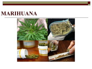 MARIHUANA
 
