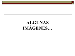 ALGUNAS
IMÁGENES…
 