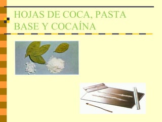 HOJAS DE COCA, PASTA
BASE Y COCAÍNA
 