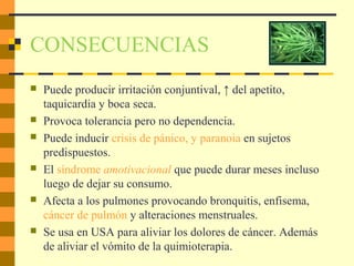 CONSECUENCIAS
 Puede producir irritación conjuntival, ↑ del apetito,
taquicardia y boca seca.
 Provoca tolerancia pero no dependencia.
 Puede inducir crisis de pánico, y paranoia en sujetos
predispuestos.
 El síndrome amotivacional que puede durar meses incluso
luego de dejar su consumo.
 Afecta a los pulmones provocando bronquitis, enfisema,
cáncer de pulmón y alteraciones menstruales.
 Se usa en USA para aliviar los dolores de cáncer. Además
de aliviar el vómito de la quimioterapia.
 