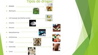 Tipos de drogas:
 Alcohol
 Marihuana
 LCD (Lysergic Acid Diethyl amide)
 Cocaína
 Heroína
 Metanfetaminas
 Anfetaminas
 Hongos
 Esteroides
 Crack
 