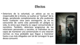 Efectos
• Deterioro de la voluntad, un adicto ya no es
responsable de si mismo, se vuelve un “esclavo” de la
droga, pendiendo completamente de ella pudiendo
hacer cualquier cosa para conseguirla, ya no es
consciente de como esta poniendo en peligro su
vida, lo único que importa es seguir consumiendo el
narcótico. También, deterioro progresivo de las
relaciones personales y sociales, el individuo no es
capaz de mantener una conversación ni una relación
normal, es muy probable que llegue a traicionar
hasta a sus más allegados con tal de conseguir lo que
desea consumir.
JAIRO FONSECA
 