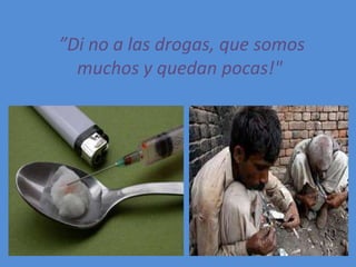 ”Di no a las drogas, que somos
muchos y quedan pocas!"
 