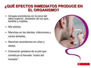 ¿QUÉ EFECTOS INMEDIAT O S PRODUCE EN EL ORGANISMO? Arrugas prematuras en la zona del labio superior, alrededor de los ojos , barbilla y mejillas. Mal aliento. Manchas en los dientes, infecciones y caries dentales. Manchas amarillentas en uñas y dedos. Coloración grisácea de la piel que constituye el llamado “rostro del fumador”. 