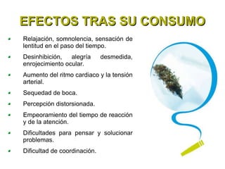EFECTOS TRAS SU CONSUMO Relajación, somnolencia, sensación de lentitud en el paso del tiempo. Desinhibición, alegría desmedida, enrojecimiento ocular. Aumento del ritmo cardiaco y la tensión arterial. Sequedad de boca. Percepción distorsionada. Empeoramiento del tiempo de reacción y de la atención. Dificultades para pensar y solucionar problemas. Dificultad de coordinación. 