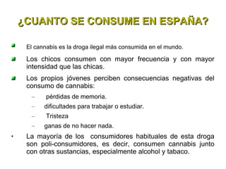 El cannabis es la droga ilegal más consumida en el mundo. Los chicos consumen con mayor frecuencia y con mayor intensidad que las chicas. Los propios jóvenes perciben consecuencias negativas del consumo de cannabis: pérdidas de memoria.  dificultades para trabajar o estudiar. Tristeza ganas de no hacer nada. La mayoría de los  consumidores habituales de esta droga son poli-consumidores, es decir, consumen cannabis junto con otras sustancias, especialmente alcohol y tabaco. ¿CUANTO SE CONSUME EN ESPAÑA? 
