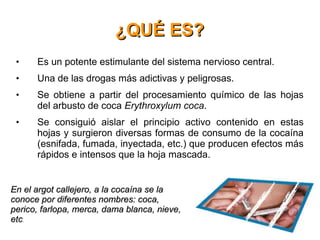 ¿QUÉ ES? Es un potente estimulante del sistema nervioso central. Una de las drogas más adictivas y peligrosas. Se obtiene a partir del procesamiento químico de las hojas del arbusto de coca  Erythroxylum coca .  Se consiguió aislar el principio activo contenido en estas hojas y surgieron diversas formas de consumo de la cocaína (esnifada, fumada, inyectada, etc.) que producen efectos más rápidos e intensos que la hoja mascada.  En el argot callejero, a la cocaína se la conoce por diferentes nombres: coca, perico, farlopa, merca, dama blanca, nieve, etc . 