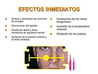 EFECTOS INMEDIATOS Euforia y sensación de aumento de energía. Disminución del apetito. Estado de alerta y falsa sensación de agudeza mental. Aumento de la presión arterial y el ritmo cardiaco. Contracción de los vasos sanguíneos. Aumento de la temperatura corporal. Dilatación de las pupilas 