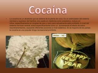 • La cocaína es un alcaloide que se obtiene de la planta de coca. Es un estimulador del sistema
nervioso y supresor del hambre, era usado en medicina como anestetico, incluso en
niños, específicamente en cirugías de ojos y nariz pero actualmente está prohibido. A nivel del
sistema nervioso central, actúa específicamente como un aumentando el efecto de estos
neurotransmisores, causando diferentes acciones a nivel sistémico. En la mayoría de los países
la cocaína es una popular droga recreacional prohibida.
 