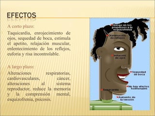 A corto plazo:
 Taquicardia, enrojecimiento de
ojos, sequedad de boca, estimula
el apetito, relajación muscular,
enlentecimiento de los reflejos,
euforia y risa incontrolable.
A largo plazo:
 Alteraciones respiratorias,
cardiovasculares, cáncer,
alteraciones al sistema
reproductor, reduce la memoria
y la comprensión mental,
esquizofrenia, psicosis.
 
