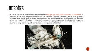▪ A pesar de que el alcohol está considerada la droga que más daños causa a la sociedad, la
heroína es la más perjudicial en todos los sentidos. A nivel científico, es el más potente
opiáceo que hace que el nivel de dopamina en el sistema de recompensa del cerebro
aumente hasta en un 200%. Situada en primer lugar, porque tan solo alrededor de un 10 por
ciento de las personas que la consumen puede que se rehabiliten
 
