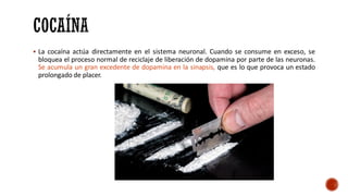 ▪ La cocaína actúa directamente en el sistema neuronal. Cuando se consume en exceso, se
bloquea el proceso normal de reciclaje de liberación de dopamina por parte de las neuronas.
Se acumula un gran excedente de dopamina en la sinapsis, que es lo que provoca un estado
prolongado de placer.
 