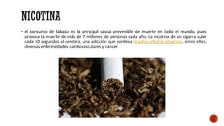 ▪ el consumo de tabaco es la principal causa prevenible de muerte en todo el mundo, pues
provoca la muerte de más de 7 millones de personas cada año. La nicotina de un cigarro sube
cada 10 segundos al cerebro, una adicción que conlleva muchos efectos adversos, entre ellos,
diversas enfermedades cardiovasculares y cáncer.
 