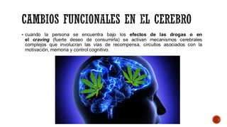 ▪ cuando la persona se encuentra bajo los efectos de las drogas o en
el craving (fuerte deseo de consumirla) se activan mecanismos cerebrales
complejos que involucran las vías de recompensa, circuitos asociados con la
motivación, memoria y control cognitivo.
 