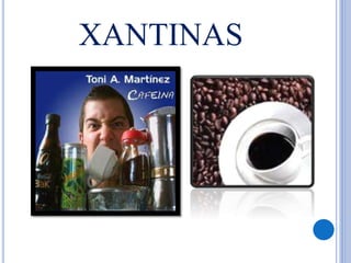 XANTINAS
 