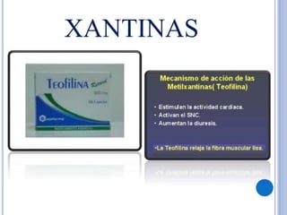 XANTINAS
 