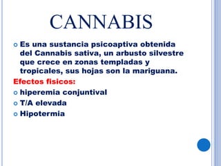 CANNABIS
 Es una sustancia psicoaptiva obtenida
del Cannabis sativa, un arbusto silvestre
que crece en zonas templadas y
tropicales, sus hojas son la mariguana.
Efectos fisicos:
 hiperemia conjuntival
 T/A elevada
 Hipotermia
 