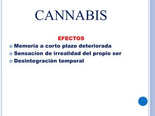 CANNABIS
EFECTOS
 Memoria a corto plazo deteriorada
 Sensacion de irrealidad del propio ser
 Desintegración temporal
 