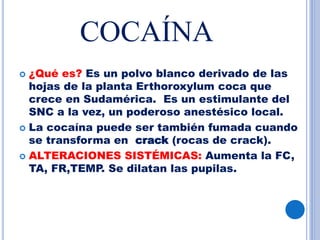 COCAÍNA
 ¿Qué es? Es un polvo blanco derivado de las
hojas de la planta Erthoroxylum coca que
crece en Sudamérica. Es un estimulante del
SNC a la vez, un poderoso anestésico local.
 La cocaína puede ser también fumada cuando
se transforma en crack (rocas de crack).
 ALTERACIONES SISTÉMICAS: Aumenta la FC,
TA, FR,TEMP. Se dilatan las pupilas.
 