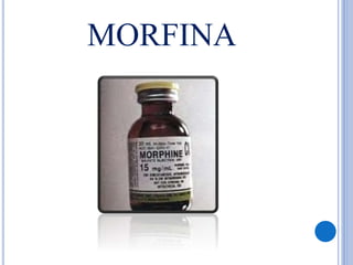 MORFINA
 