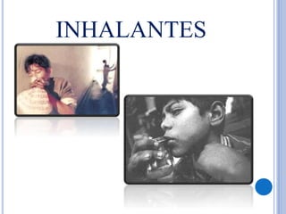 INHALANTES
 