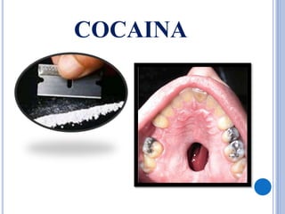 COCAINA
 