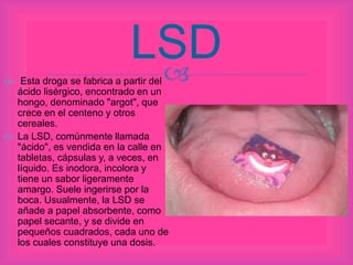 
LSD
 Esta droga se fabrica a partir del
ácido lisérgico, encontrado en un
hongo, denominado "argot", que
crece en el centeno y otros
cereales.
 La LSD, comúnmente llamada
"ácido", es vendida en la calle en
tabletas, cápsulas y, a veces, en
líquido. Es inodora, incolora y
tiene un sabor ligeramente
amargo. Suele ingerirse por la
boca. Usualmente, la LSD se
añade a papel absorbente, como
papel secante, y se divide en
pequeños cuadrados, cada uno de
los cuales constituye una dosis.
 