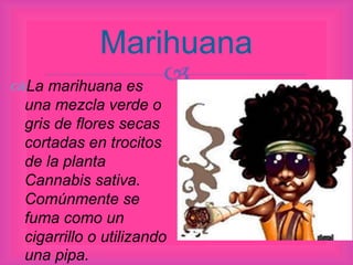 
Marihuana
La marihuana es
una mezcla verde o
gris de flores secas
cortadas en trocitos
de la planta
Cannabis sativa.
Comúnmente se
fuma como un
cigarrillo o utilizando
una pipa.
 