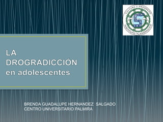 BRENDA GUADALUPE HERNANDEZ SALGADO 
CENTRO UNIVERSITARIO PALMIRA 
 