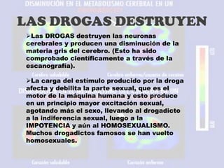 LAS DROGAS DESTRUYEN
Las DROGAS destruyen las neuronas
cerebrales y producen una disminución de la
materia gris del cerebro. (Esto ha sido
comprobado científicamente a través de la
escanografía).
La carga del estímulo producido por la droga
afecta y debilita la parte sexual, que es el
motor de la máquina humana y esto produce
en un principio mayor excitación sexual,
agotando más el sexo, llevando al drogadicto
a la indiferencia sexual, luego a la
IMPOTENCIA y aún al HOMOSEXUALISMO.
Muchos drogadictos famosos se han vuelto
homosexuales.
 